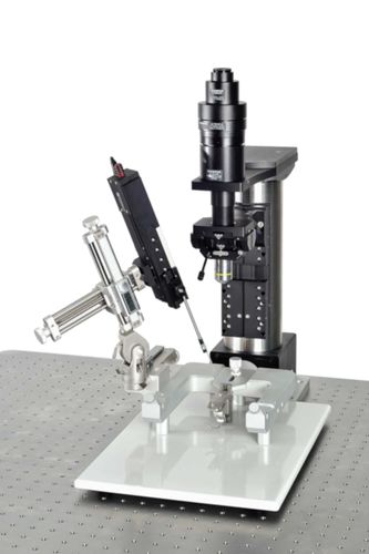 Micromanipolatore a motore - IVM Single - Scientifica