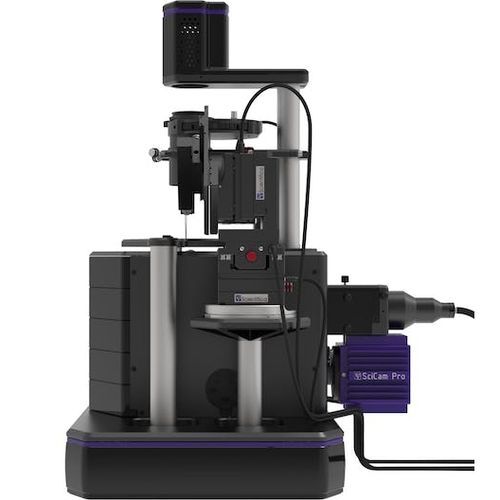 Microscopio ottico - PatchScope Pro 2000 - Scientifica - per neuroscienza / invertito / a fluorescenza