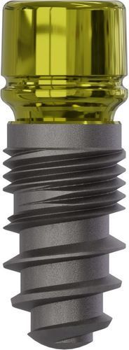 Impianto dentale conico - Champions (R)Evolution® - Champions-Implants - in titanio / interno / dritto