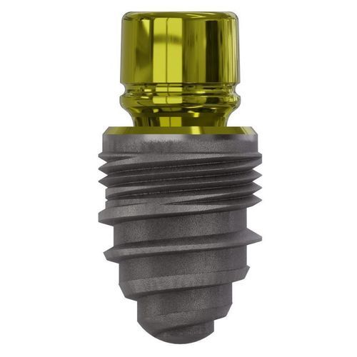 Impianto dentale conico - Champions (R)Evolution® - Champions-Implants - in titanio / interno / dritto