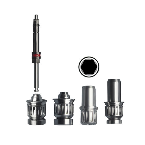 Cacciavite odontoiatrico per manipoli dentali - Shanghai LZQ Precision Tool