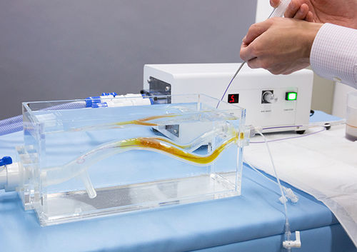 Modello vascolare di vasi sanguigni - RDN - JMC Corporation - per chirurgia vascolare / didattico