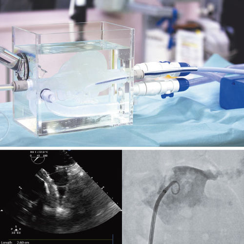 Modello anatomico di cuore - LAA Closure Model - JMC Corporation - per chirurgia vascolare / didattico
