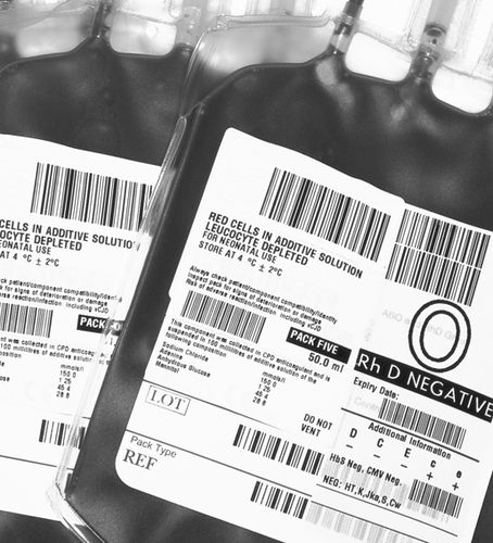 Sistema di gestione per banca del sangue - TDBloodBank - TECHNIDATA - dati del paziente / dell'informazione / di tracciabilità