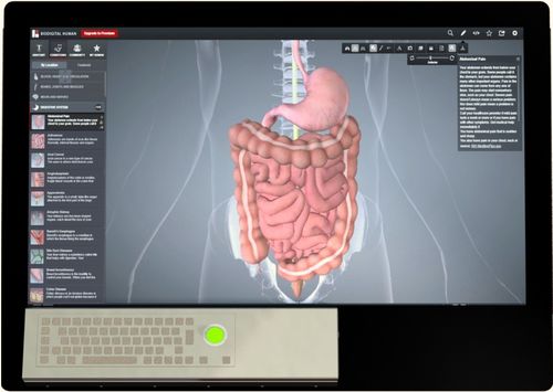 PACS per diagnostica per immagini - GP-446 - Cizgi Teknoloji - medico