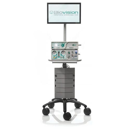 Laparoscopio veterinario video - EDSS - Biovision Veterinary Endoscopy