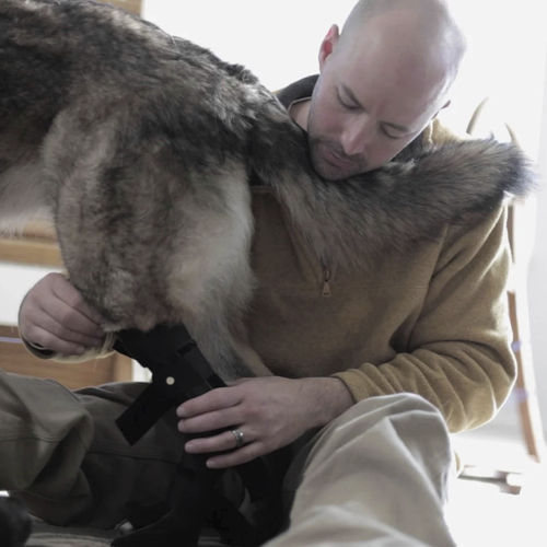 Ortesi veterinaria per cani - Hero Braces - per caviglia