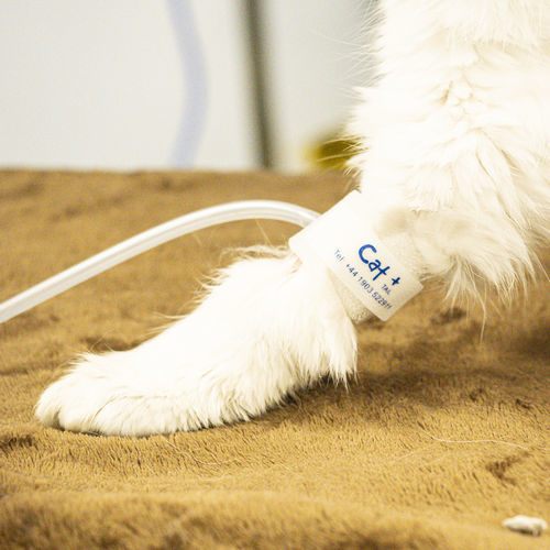 Bracciale per controllo di pressione arteriosa - CAT+  - Thames Medical