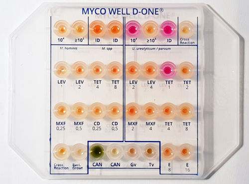 Kit di test di suscettibilità antimicrobica - MS01283 - CPM SAS - per analisi di identificazione / del micoplasma / di Gardnerella vaginalis