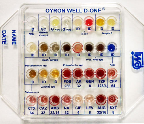 Kit di test per test di sensibilità agli antibiotici - MS01285 - CPM SAS