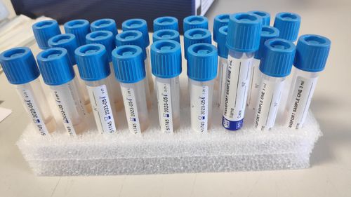 Kit per prelievo clinico - MS01430 - CPM SAS