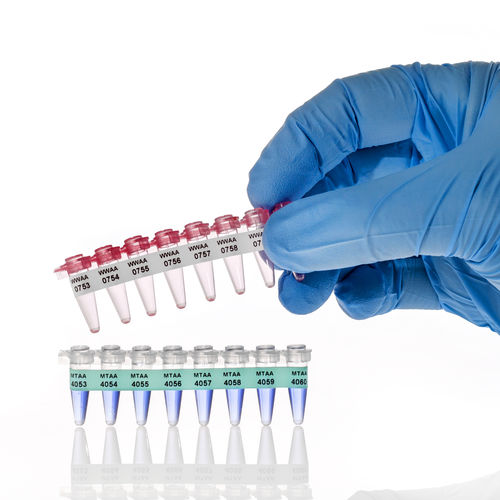 Etichetta per provette PCR - PCR-TAG™ - GA International - resistente al calore / criogenica / per stoccaggio a lungo termine