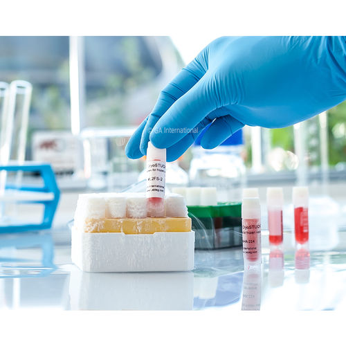 Etichetta per provette criogeniche - CryoSTUCK® - GA International - per tubi di microcentrifuga / per flaconi / per contenitori criogenici