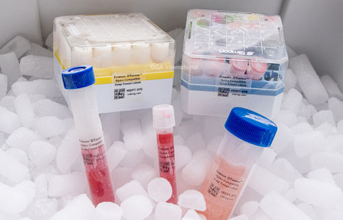 Etichetta per tubi - Freezer-DTermo™ - GA International - per scatole di congelamento / per flaconi / per becher