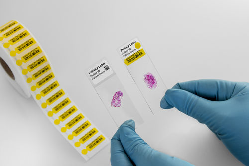 Etichetta per vetrini per microscopio - Histo-PinTAG™ - GA International - amovibile