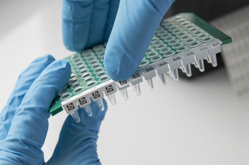 Etichetta per micropiastre - IDenti-PCR™ - GA International - resistente al calore / per surgelati