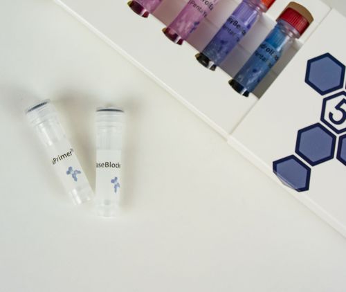 Reagente soluzione tampone - BaseBlocker™ - PentaBase - per biologia molecolare / liofilizzato