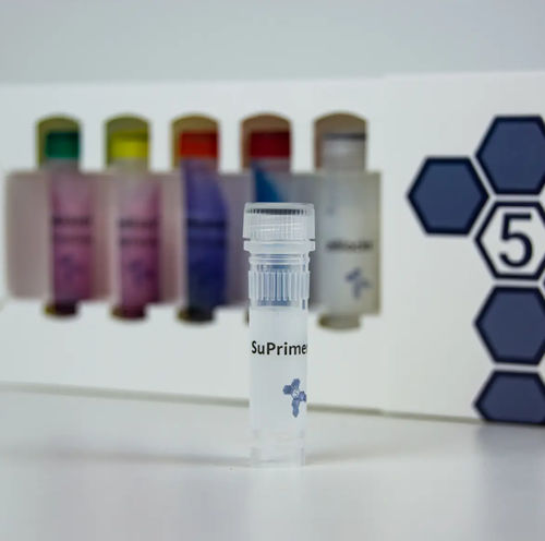 Reagente in soluzione - SuPrimer™ - PentaBase - per biologia molecolare / liofilizzato