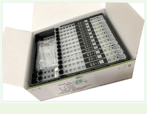 Kit di test di fertilità - 0014HC - Beijing O&D Biotech Co., Ltd. - di estradiolo / di siero / CLIA