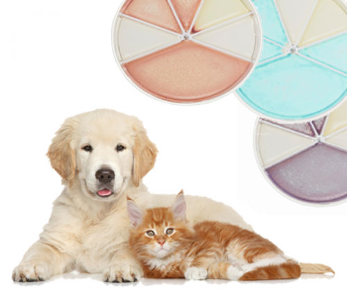 Kit di test di infezione delle vie urinarie - Flexicult® Vet Scandinavia  - SSI Diagnostica - veterinario / batteriologico / di urina