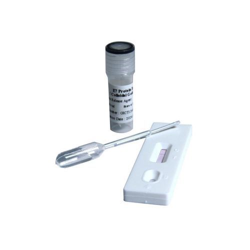 Test rapido del cancro del collo dell'utero - F3026 - Cetro Medical - di ginecologia