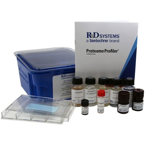 Kit di reagenti proteasi - ARY021B - R&D Systems - anticorpo / per tessuti / di proteine