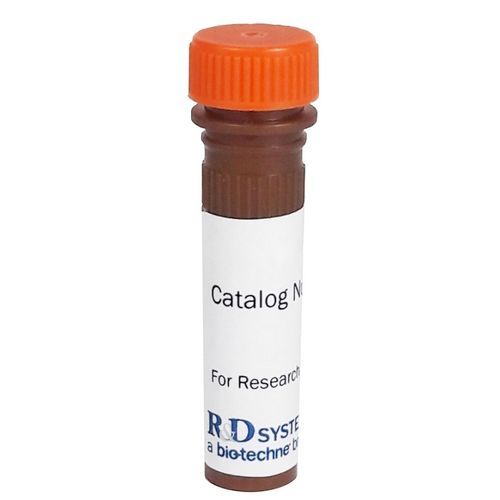 Reagente anticorpo - FLC001A - R&D Systems - in soluzione / da ricerca / di sodio
