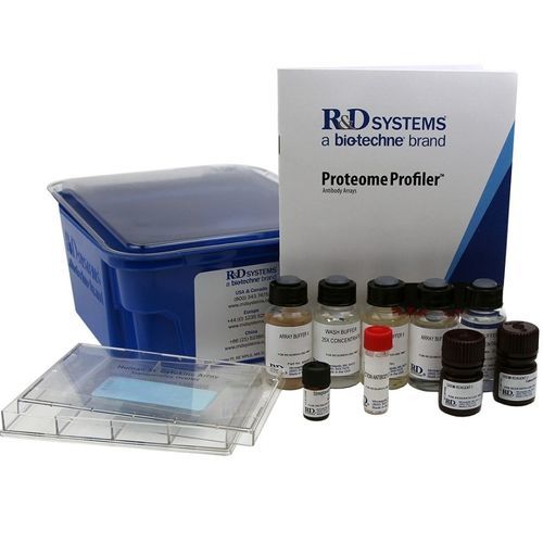 Kit di reagenti proteasi - ARY025 - R&D Systems - anticorpo / per tessuti / di proteine