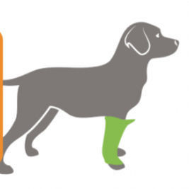 Proteggi-articolazioni veterinario proteggigomiti - BUDDY® - QOL - Quality Of Life