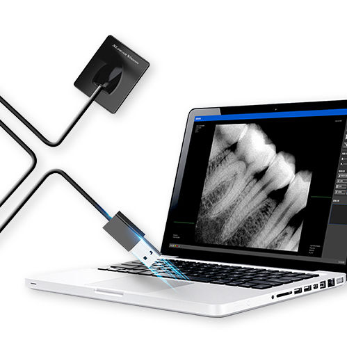 Rilevatore a pannello piatto intraorale per radiografia dentale - XV 100 - BLZ Technology