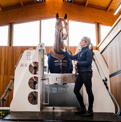 Spa per animali per equini - ECB Equine Spa