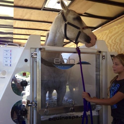 Spa per animali per equini - MOBILE - ECB Equine Spa
