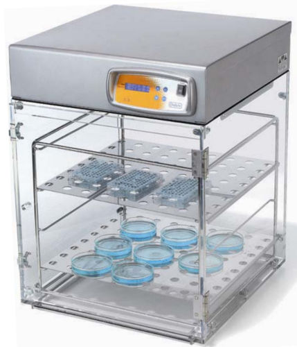 Incubatore da laboratorio ad aria forzata - CLEAR - OVAN - da banco / 1 porta / automatico