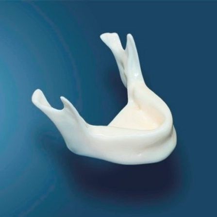 Modello anatomico di mandibola - DOTFOX - per implantologia / in poliuretano / bianco