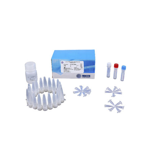 Kit di test della tubercolosi - 301031 - CapitalBio Technology - per malattie infettive / per analisi di identificazione / di micobatteri
