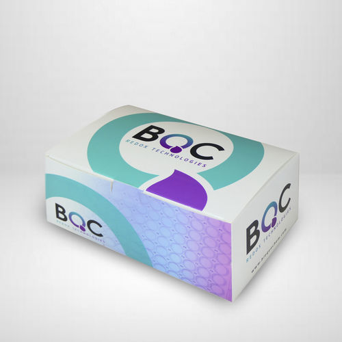 Kit di test di attività della catalasi (CAT) - KB03012  - Bioquochem - di stress ossidativo / di perossido d'idrogeno / biologico