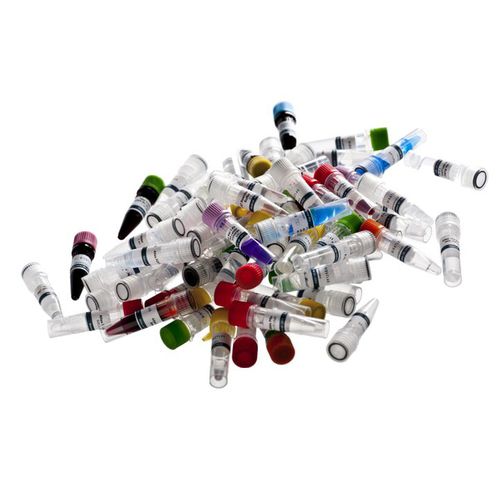 Reagente DNA polimerasi - Atlas Taq - BioAtlas - da ricerca / per PCR / per sequenziamento di DNA
