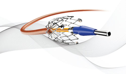 Stent periferico - DYLANO - USM Healthcare Medical Devices Factory