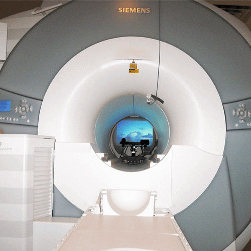 Tracciatore oculare per MRI - EyeLink 1000 Plus - SR Research - da ufficio / video