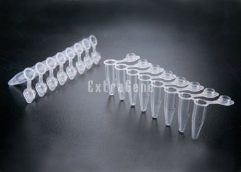 Microprovetta per PCR - P-02X8-CF - ExtraGene,Inc. - a fondo conico / in polipropilene