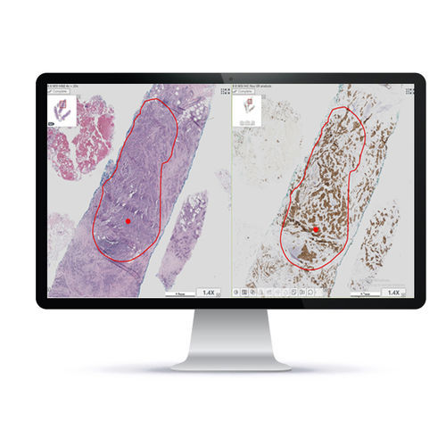 Sistema di imaging cellulare automatico - HiPath Pro™ - Applied Spectral Imaging - da laboratorio / per tessuti