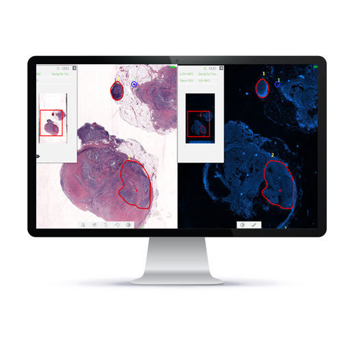 Sistema di imaging cellulare automatico - PathFusion™ - Applied Spectral Imaging - da laboratorio / diagnostico / per tessuti