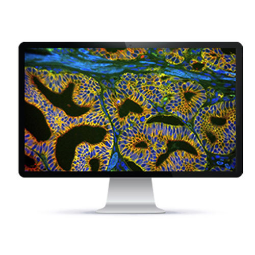 Sistema di imaging cellulare automatico - Rainbow™ - Applied Spectral Imaging - da laboratorio / clinico / a fluorescenza