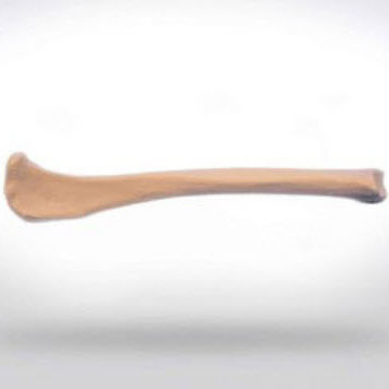 Modello anatomico di tibia - 0812.00 - SYNBONE AG - per chirurgia / veterinario / ad uso didattico