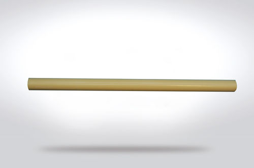 Modello anatomico osseo - 0060 - SYNBONE AG - didattico / per test biomeccanici / in espanso
