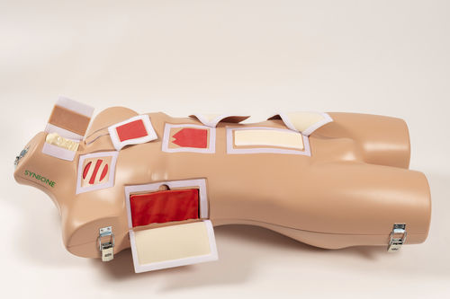 Simulatore didattico - SYNMAN - SYNBONE AG - per chirurgia / con trauma / di torso