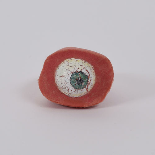 Modello anatomico di cranio - 8800.11 - SYNBONE AG - di occhio / per chirurgia / ad uso didattico