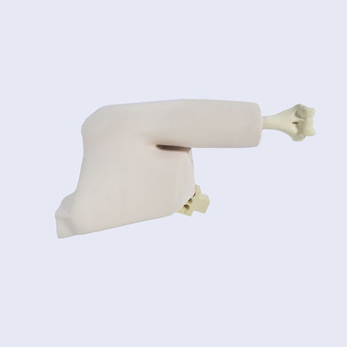 Modello anatomico osseo - LSH5760.1 - SYNBONE AG - di articolazione / di omero / di spalla
