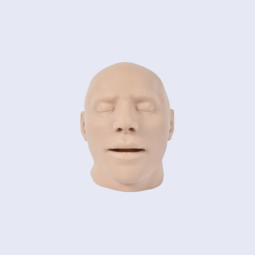 Modello anatomico di cranio - 8800.H - SYNBONE AG - della pelle / di costola / per chirurgia