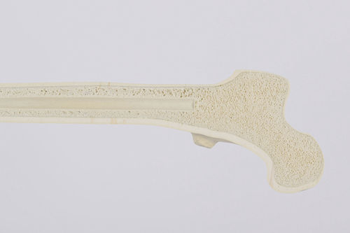 Modello anatomico di osso spugnoso - SYNBONE AG - osseo / di articolazione / per chirurgia ortopedica